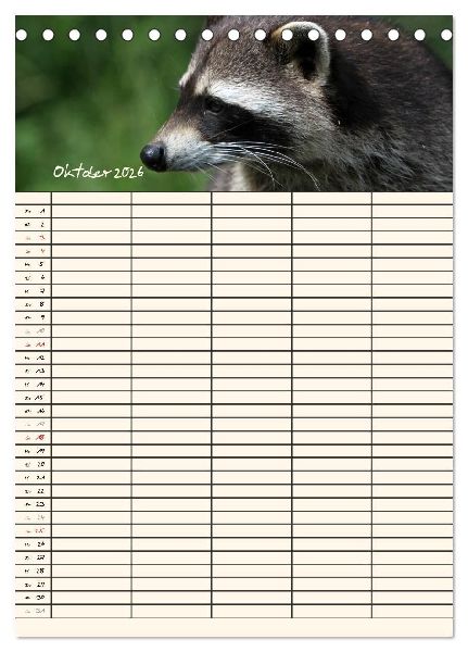 Waschbären Familienplaner (Tischkalender 2026 DIN A5 hoch), CALVENDO Monatskalender