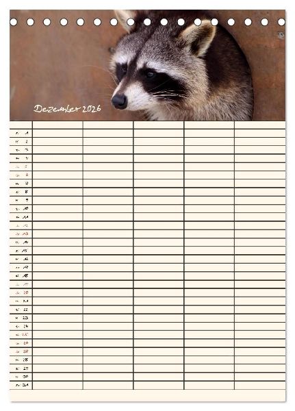 Waschbären Familienplaner (Tischkalender 2026 DIN A5 hoch), CALVENDO Monatskalender