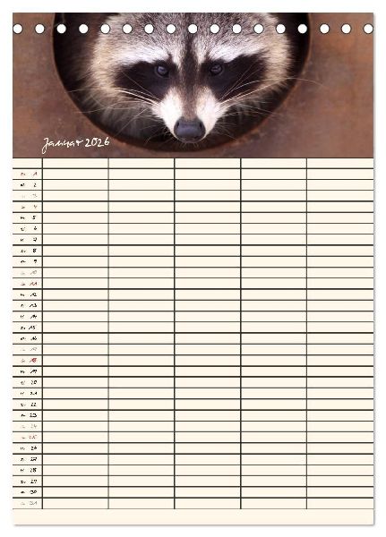 Waschbären Familienplaner (Tischkalender 2026 DIN A5 hoch), CALVENDO Monatskalender