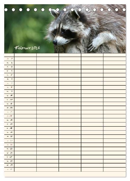 Waschbären Familienplaner (Tischkalender 2026 DIN A5 hoch), CALVENDO Monatskalender