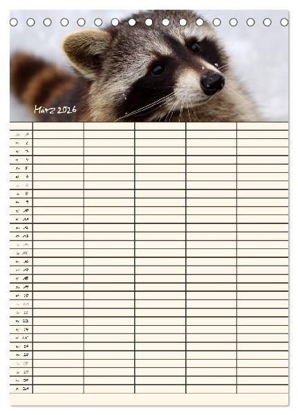 Waschbären Familienplaner (Tischkalender 2026 DIN A5 hoch), CALVENDO Monatskalender