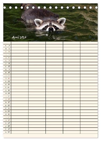 Waschbären Familienplaner (Tischkalender 2026 DIN A5 hoch), CALVENDO Monatskalender