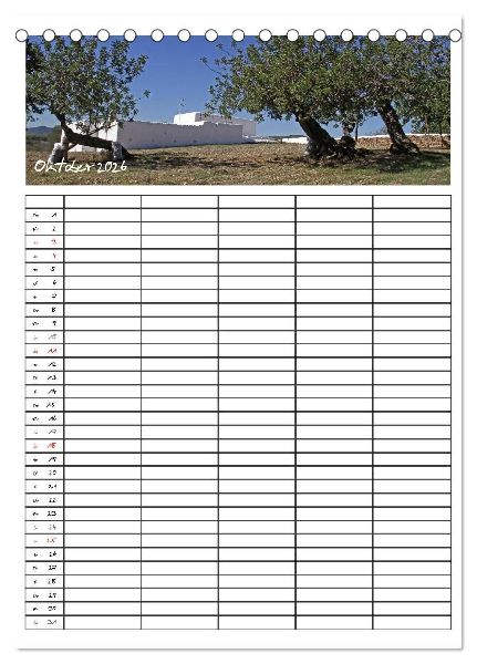 Ibiza / Familienplaner (Tischkalender 2026 DIN A5 hoch), CALVENDO Monatskalender