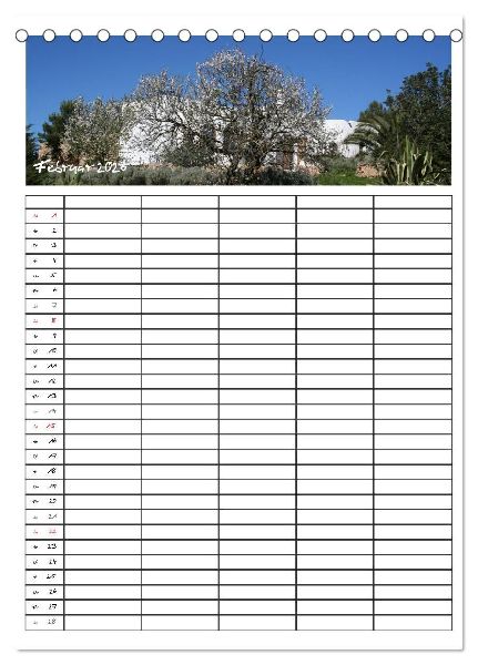 Ibiza / Familienplaner (Tischkalender 2026 DIN A5 hoch), CALVENDO Monatskalender