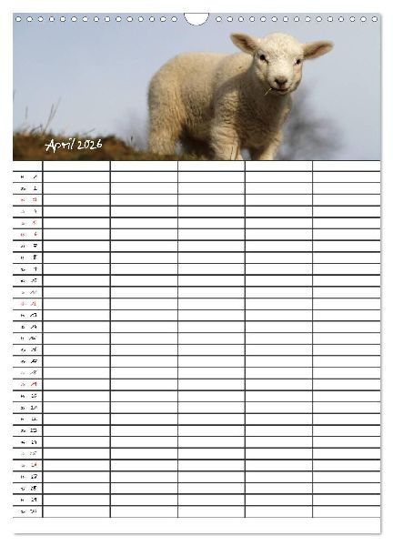 Familienplaner - Sylt (Wandkalender 2026 DIN A3 hoch), CALVENDO Monatskalender