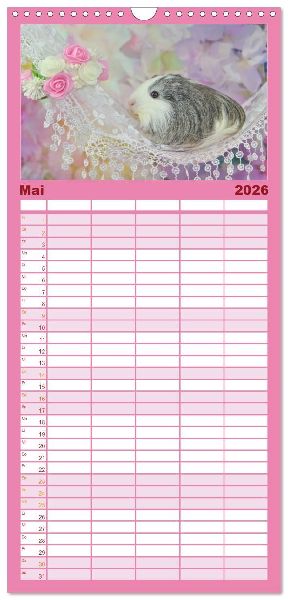 Familienplaner 2026 - Familienplaner MEERSCHWEINCHEN verzaubern uns mit 5 Spalten (Wandkalender, 21 x 45 cm) CALVENDO