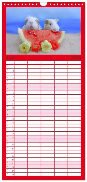 Familienplaner 2026 - Familienplaner MEERSCHWEINCHEN verzaubern uns mit 5 Spalten (Wandkalender, 21 x 45 cm) CALVENDO