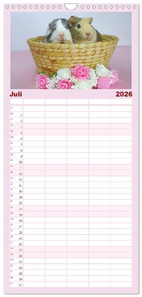 Familienplaner 2026 - Familienplaner MEERSCHWEINCHEN verzaubern uns mit 5 Spalten (Wandkalender, 21 x 45 cm) CALVENDO