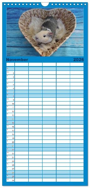 Familienplaner 2026 - Familienplaner MEERSCHWEINCHEN verzaubern uns mit 5 Spalten (Wandkalender, 21 x 45 cm) CALVENDO
