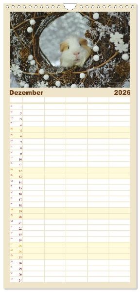 Familienplaner 2026 - Familienplaner MEERSCHWEINCHEN verzaubern uns mit 5 Spalten (Wandkalender, 21 x 45 cm) CALVENDO