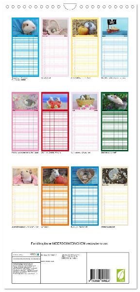 Familienplaner 2026 - Familienplaner MEERSCHWEINCHEN verzaubern uns mit 5 Spalten (Wandkalender, 21 x 45 cm) CALVENDO