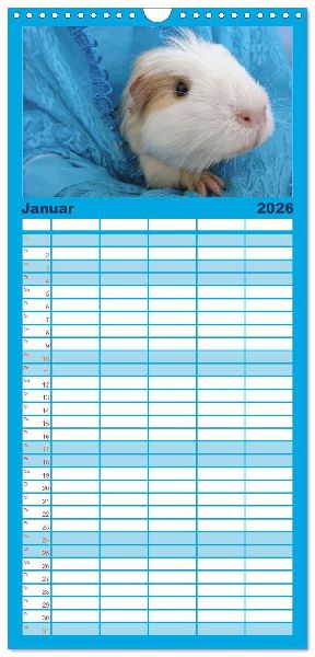 Familienplaner 2026 - Familienplaner MEERSCHWEINCHEN verzaubern uns mit 5 Spalten (Wandkalender, 21 x 45 cm) CALVENDO