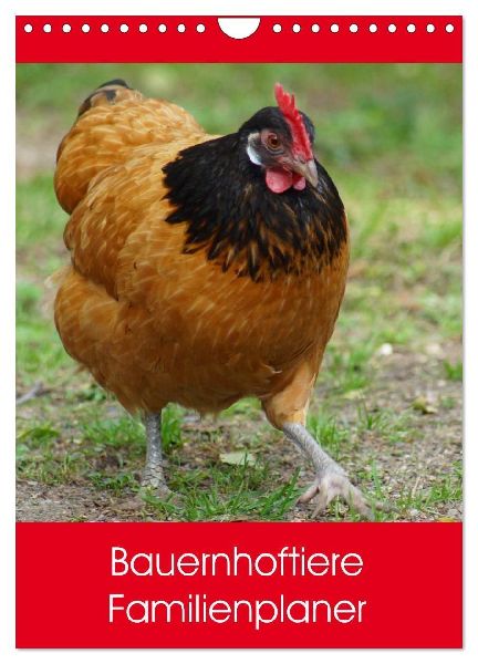 Bauernhoftiere Familienplaner (Wandkalender 2026 DIN A4 hoch), CALVENDO Monatskalender