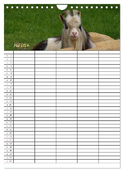 Bauernhoftiere Familienplaner (Wandkalender 2026 DIN A4 hoch), CALVENDO Monatskalender