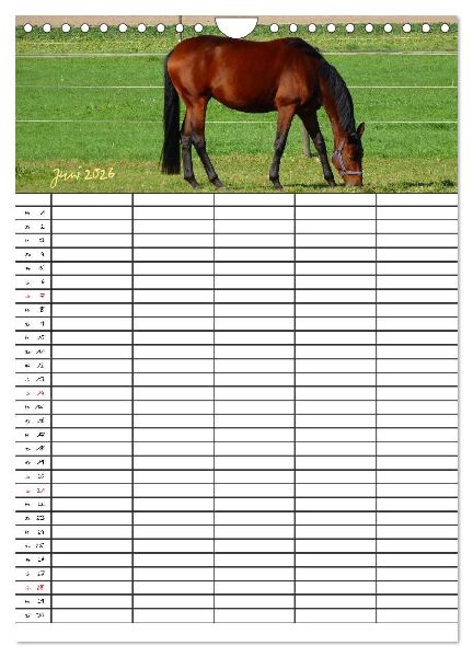 Bauernhoftiere Familienplaner (Wandkalender 2026 DIN A4 hoch), CALVENDO Monatskalender