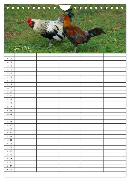 Bauernhoftiere Familienplaner (Wandkalender 2026 DIN A4 hoch), CALVENDO Monatskalender