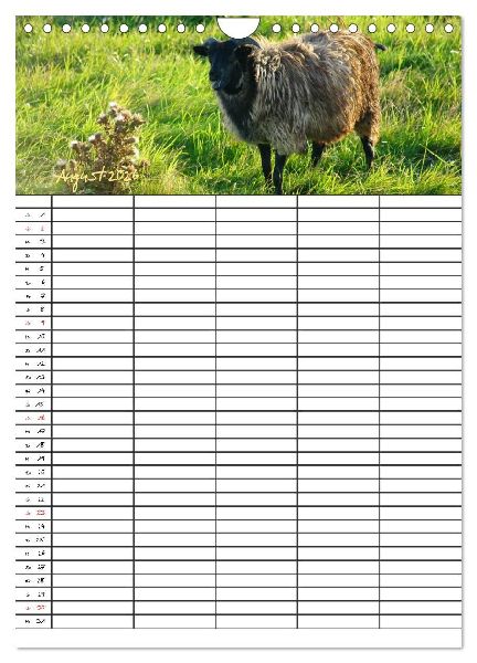 Bauernhoftiere Familienplaner (Wandkalender 2026 DIN A4 hoch), CALVENDO Monatskalender