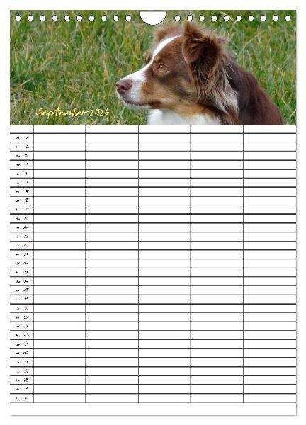 Bauernhoftiere Familienplaner (Wandkalender 2026 DIN A4 hoch), CALVENDO Monatskalender