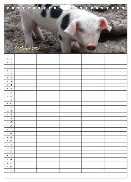 Bauernhoftiere Familienplaner (Wandkalender 2026 DIN A4 hoch), CALVENDO Monatskalender