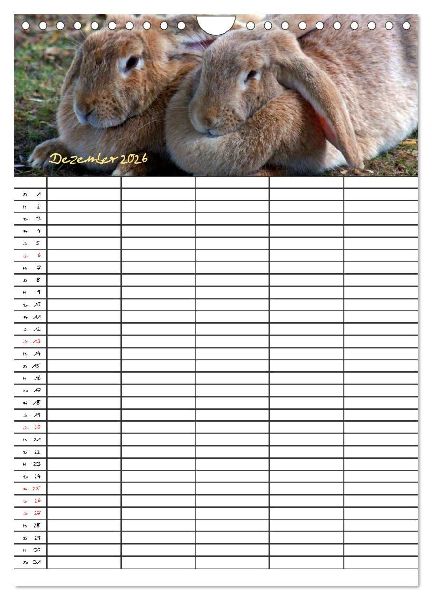 Bauernhoftiere Familienplaner (Wandkalender 2026 DIN A4 hoch), CALVENDO Monatskalender
