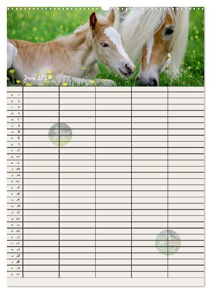 Haflinger Pferde - Stall- und Familienplaner 2026 (Wandkalender 2026 DIN A2 hoch), CALVENDO Monatskalender