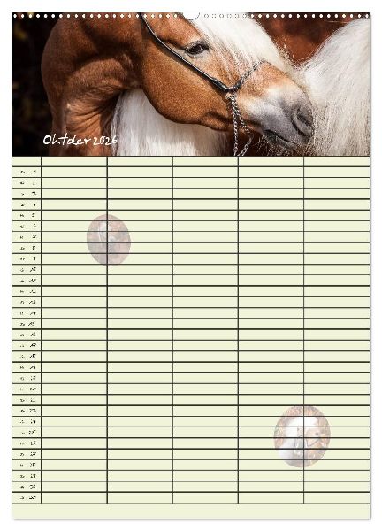 Haflinger Pferde - Stall- und Familienplaner 2026 (Wandkalender 2026 DIN A2 hoch), CALVENDO Monatskalender