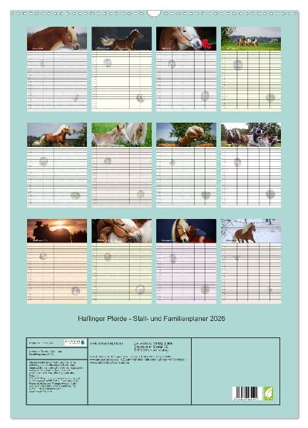 Haflinger Pferde - Stall- und Familienplaner 2026 (Wandkalender 2026 DIN A2 hoch), CALVENDO Monatskalender