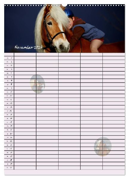 Haflinger Pferde - Stall- und Familienplaner 2026 (hochwertiger Premium Wandkalender 2026 DIN A2 hoch), Kunstdruck in Hochglanz