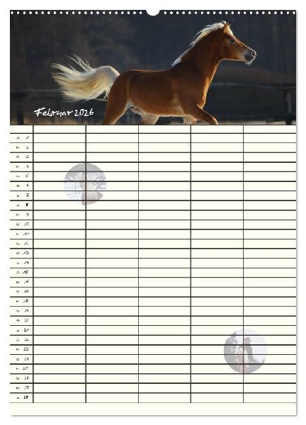 Haflinger Pferde - Stall- und Familienplaner 2026 (hochwertiger Premium Wandkalender 2026 DIN A2 hoch), Kunstdruck in Hochglanz