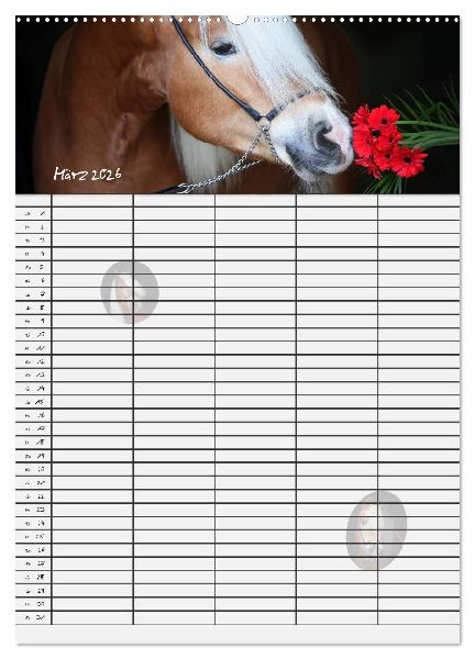 Haflinger Pferde - Stall- und Familienplaner 2026 (hochwertiger Premium Wandkalender 2026 DIN A2 hoch), Kunstdruck in Hochglanz