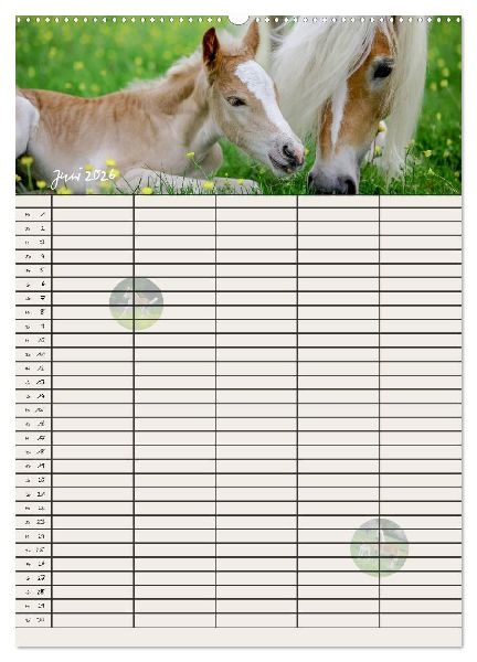 Haflinger Pferde - Stall- und Familienplaner 2026 (hochwertiger Premium Wandkalender 2026 DIN A2 hoch), Kunstdruck in Hochglanz