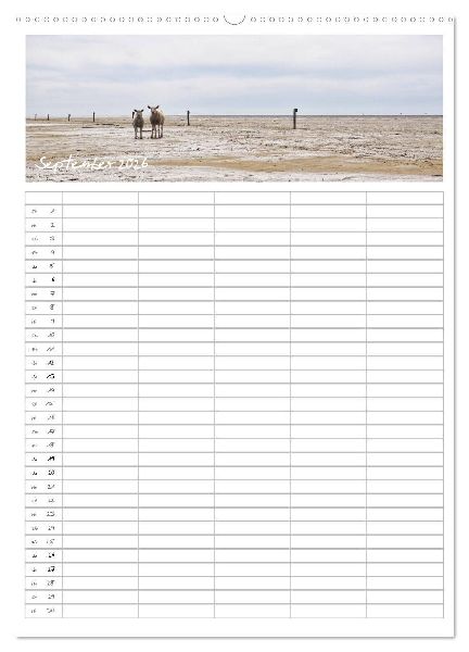 Nordfriesland - Familienplaner (Wandkalender 2026 DIN A2 hoch), CALVENDO Monatskalender