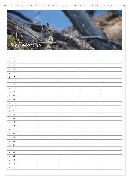Kalifornien - Familienplaner 2026 (Wandkalender 2026 DIN A2 hoch), CALVENDO Monatskalender