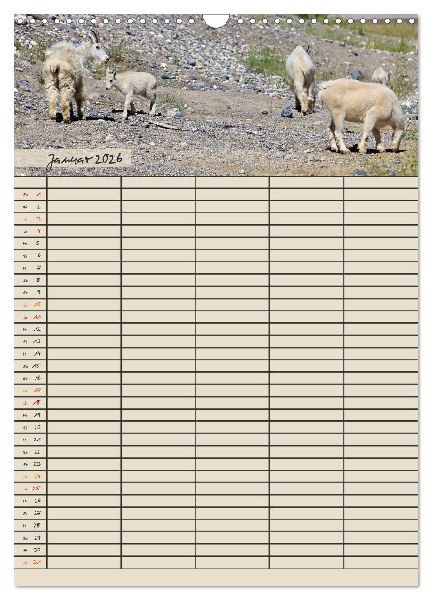 Tierischer Familienplaner (Wandkalender 2026 DIN A3 hoch), CALVENDO Monatskalender