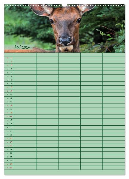 Tierischer Familienplaner (Wandkalender 2026 DIN A2 hoch), CALVENDO Monatskalender