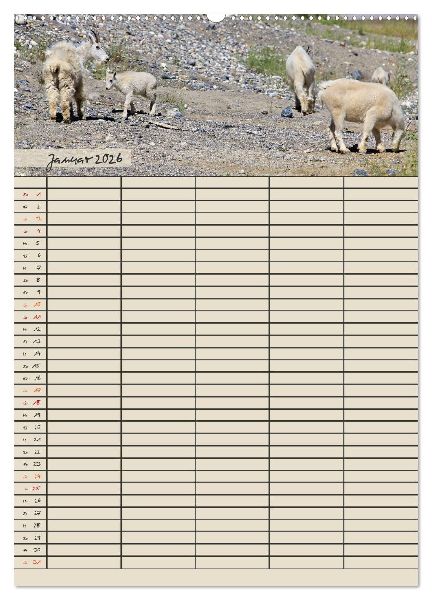Tierischer Familienplaner (Wandkalender 2026 DIN A2 hoch), CALVENDO Monatskalender