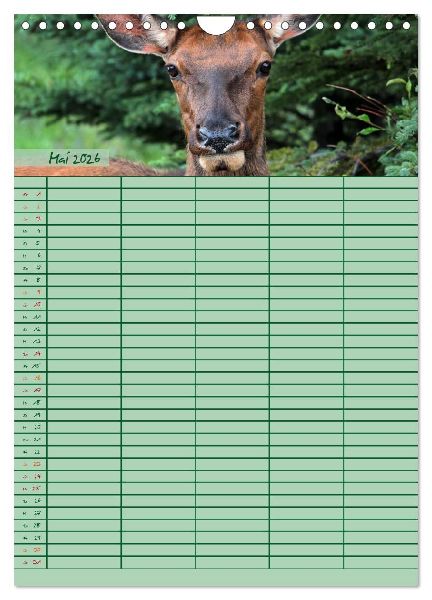 Tierischer Familienplaner (Wandkalender 2026 DIN A4 hoch), CALVENDO Monatskalender