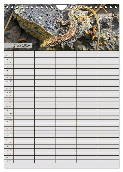Tierischer Familienplaner (Wandkalender 2026 DIN A4 hoch), CALVENDO Monatskalender