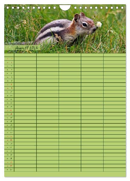 Tierischer Familienplaner (Wandkalender 2026 DIN A4 hoch), CALVENDO Monatskalender