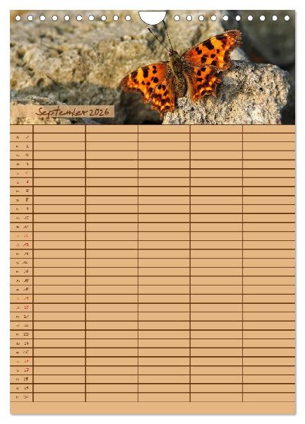 Tierischer Familienplaner (Wandkalender 2026 DIN A4 hoch), CALVENDO Monatskalender