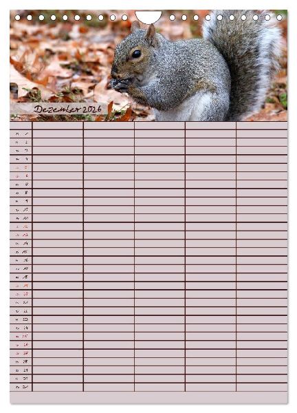 Tierischer Familienplaner (Wandkalender 2026 DIN A4 hoch), CALVENDO Monatskalender