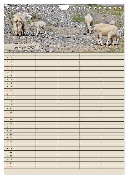 Tierischer Familienplaner (Wandkalender 2026 DIN A4 hoch), CALVENDO Monatskalender