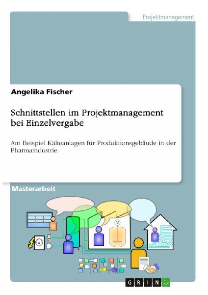 Schnittstellen im Projektmanagement bei Einzelvergabe