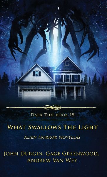 What Swallows the Light