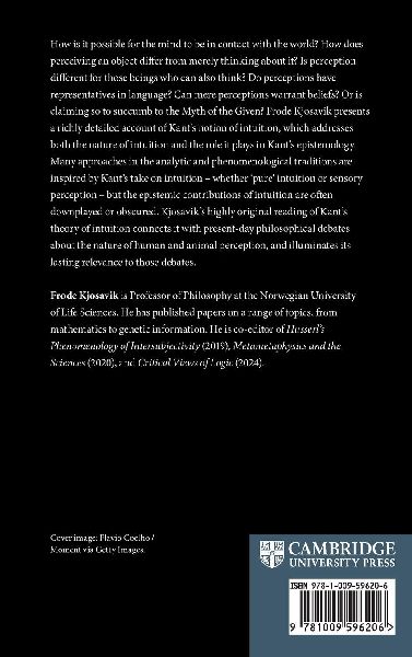 Kant and the Power of Perception