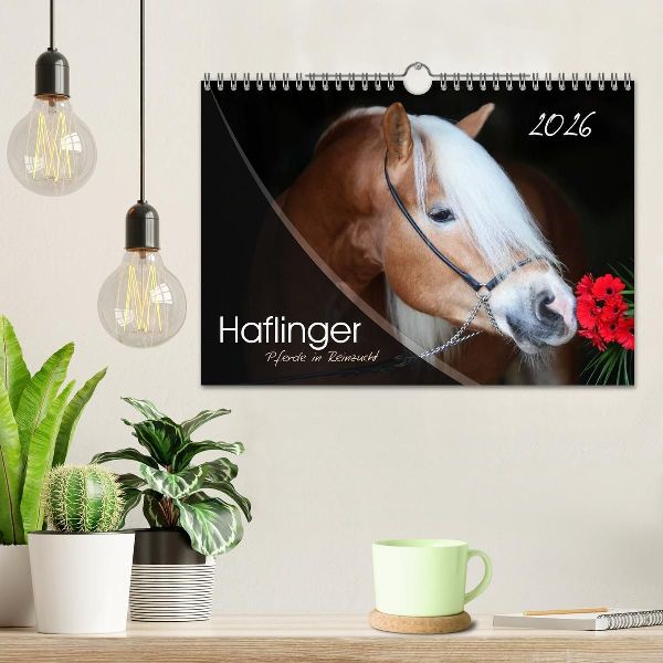 Haflinger-Pferde in Reinzucht (Wandkalender 2026 DIN A4 quer), CALVENDO Monatskalender