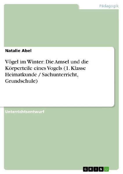 Vögel im Winter: Die Amsel und die Körperteile eines Vogels ...