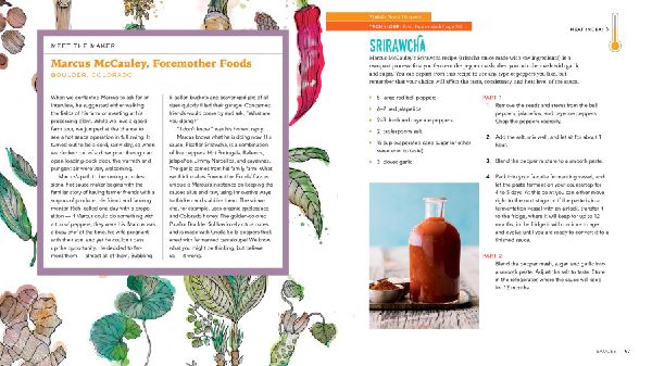 Fiery Ferments