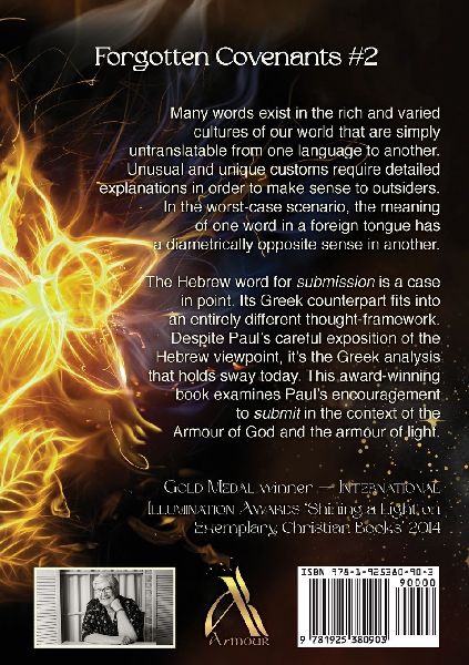 God's Panoply