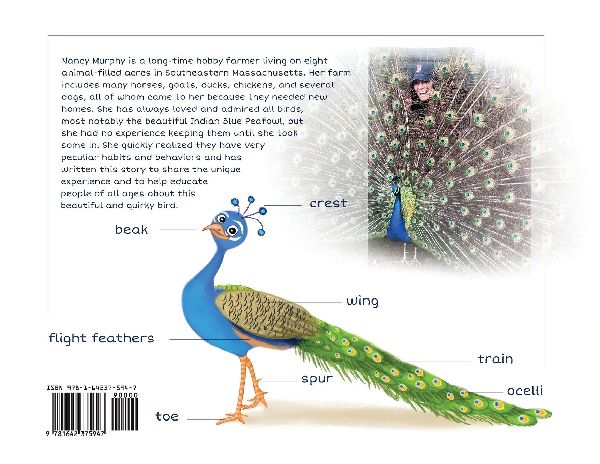 I'm a Peacock